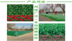 绿化防寒布,1米宽无纺布印花防寒布
