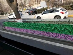 兰州绿篱印花防寒布,1米编织印花防寒布厂家