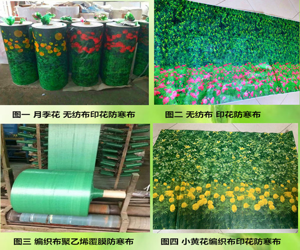 包树布-天津玉垒吉祥**生产树木保温带
