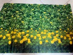 吉林园林绿化防寒布有哪些特点；