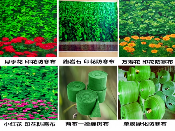 青岛园林印花防寒布 防海风抗盐碱 美观透气植物保温布